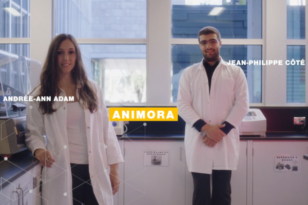 Entreprise Animora