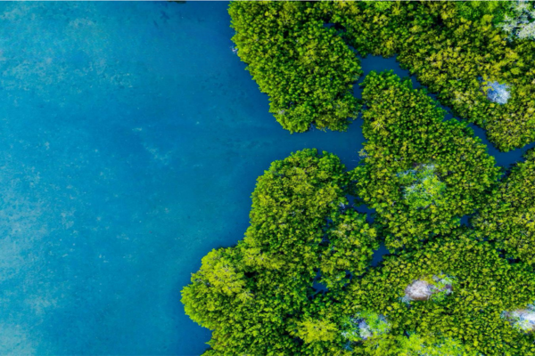 paysage d'île
