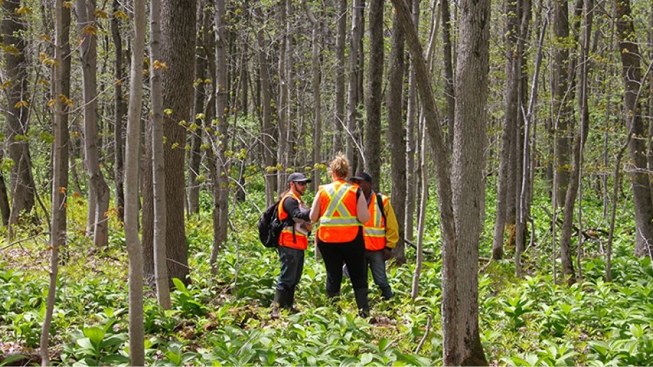 Gens en forêt
