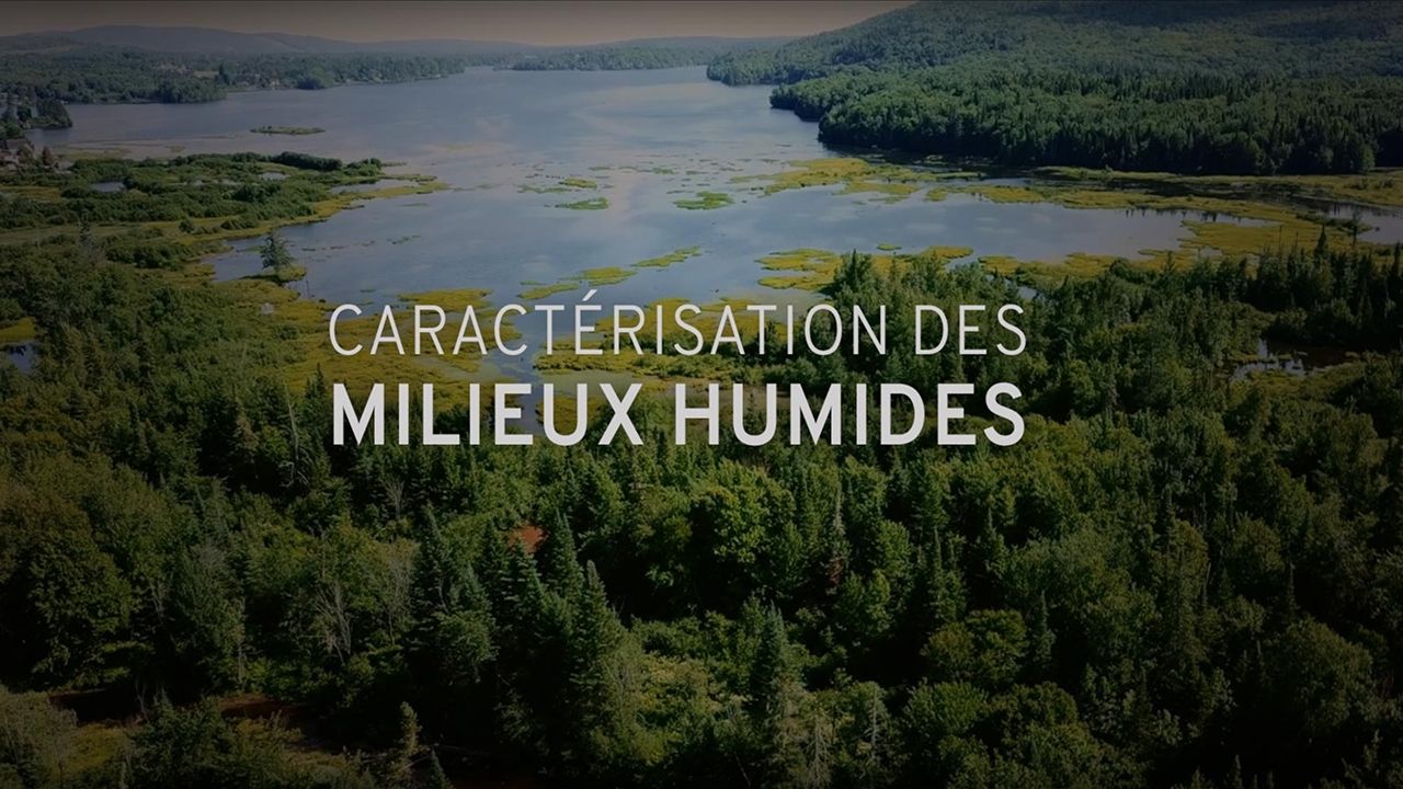 Vidéo sur la caractérisation des milieux humides