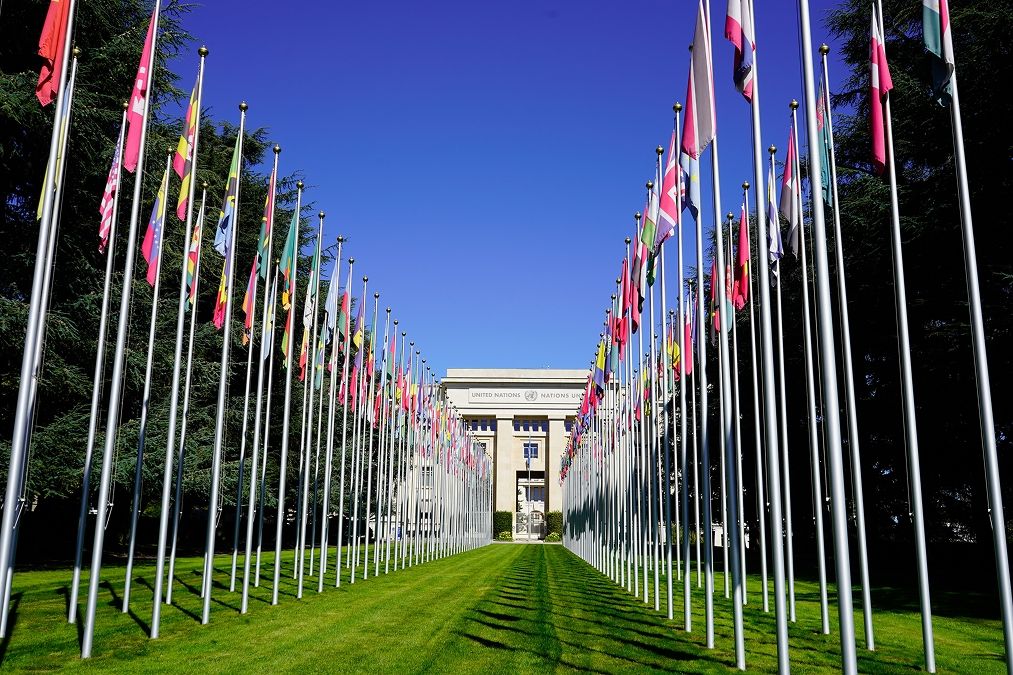 Drapeaux des Nations unies