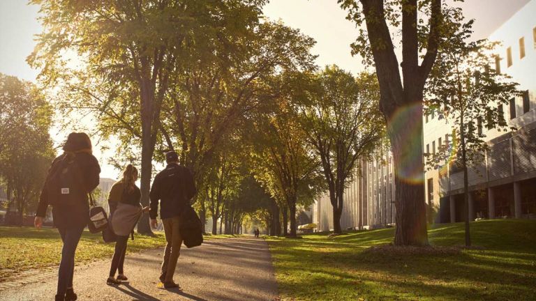 Campus en été